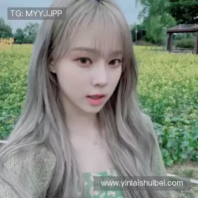 晏清飚